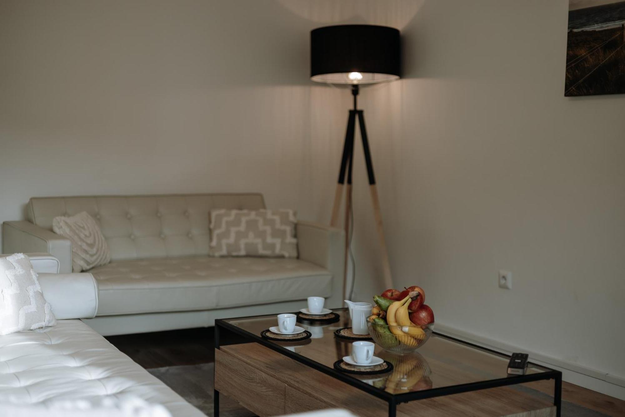Apartment Stilvolles Mit Blick Auf Dreifluesse-eck Passau